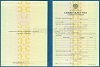Увеличить Стоимость Свидетельства о Повышении Квалификации 1997-2018 г. в Красновишерске (Пермский Край)