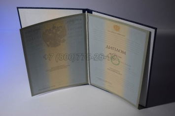 Диплом Университета 2008г в Перми