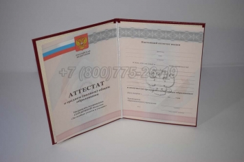 Аттестат За 11 Класс 2011г Серебро в Перми