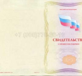 Свидетельство о Профессии Рабочего "Авиационный механик (техник) по радиооборудованию" в Перми